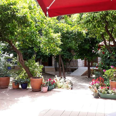 Citrus Garden Hotel อันตัลยา ภายนอก รูปภาพ