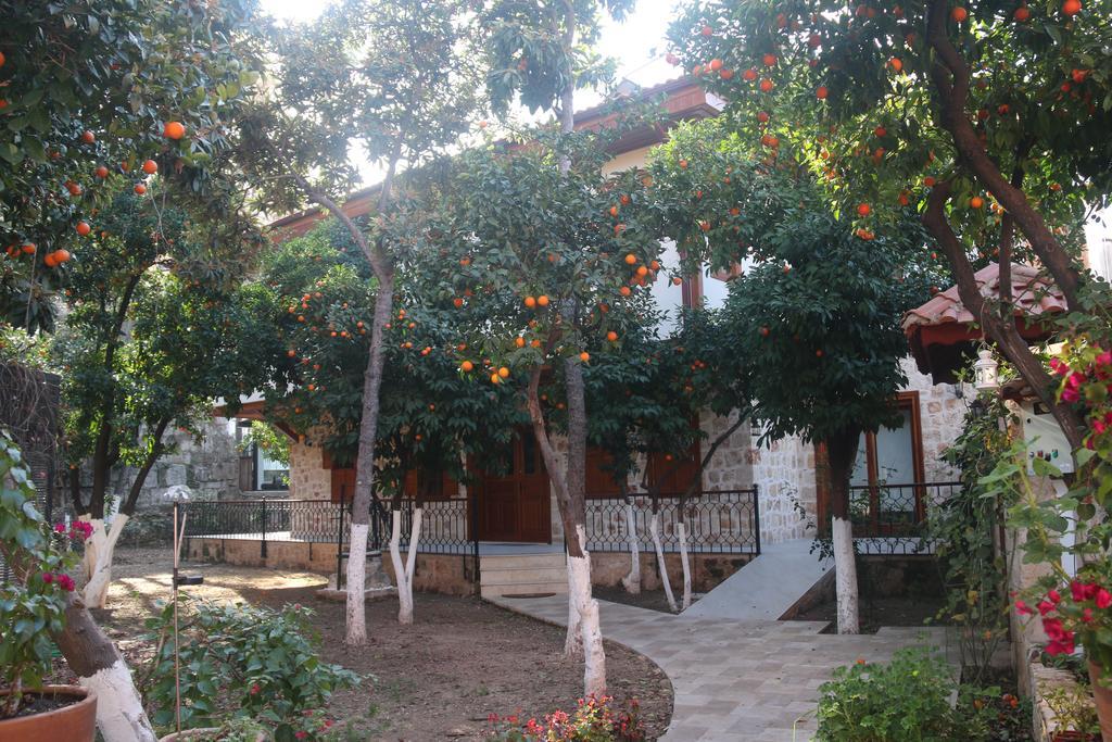 Citrus Garden Hotel อันตัลยา ภายนอก รูปภาพ