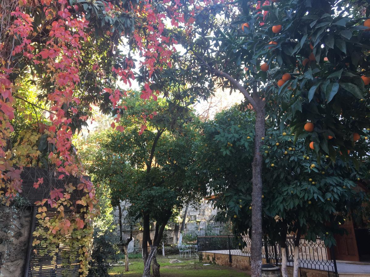 Citrus Garden Hotel อันตัลยา ภายนอก รูปภาพ