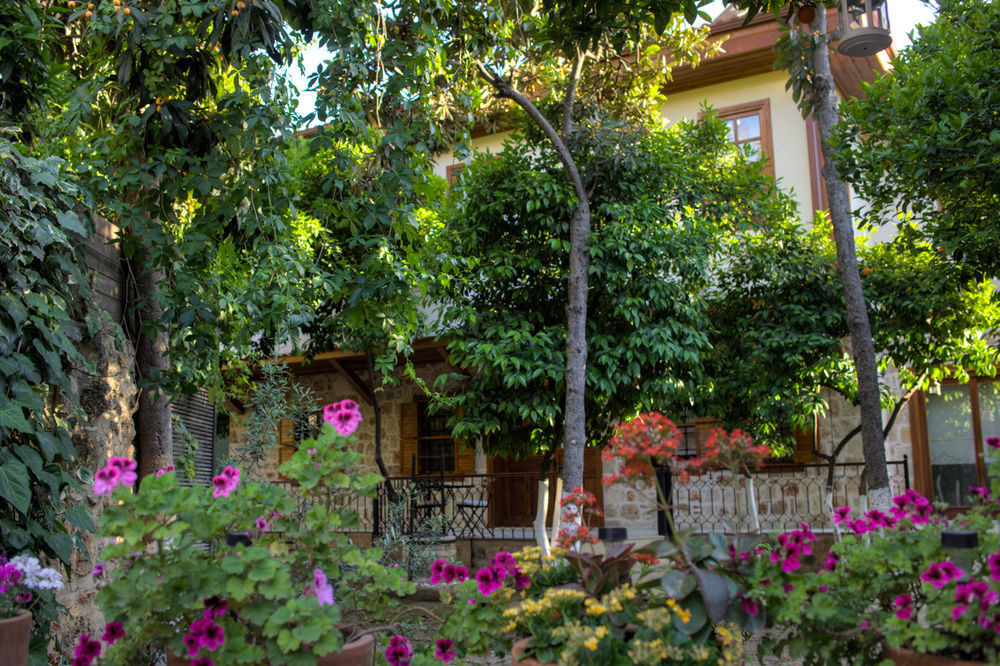 Citrus Garden Hotel อันตัลยา ภายนอก รูปภาพ