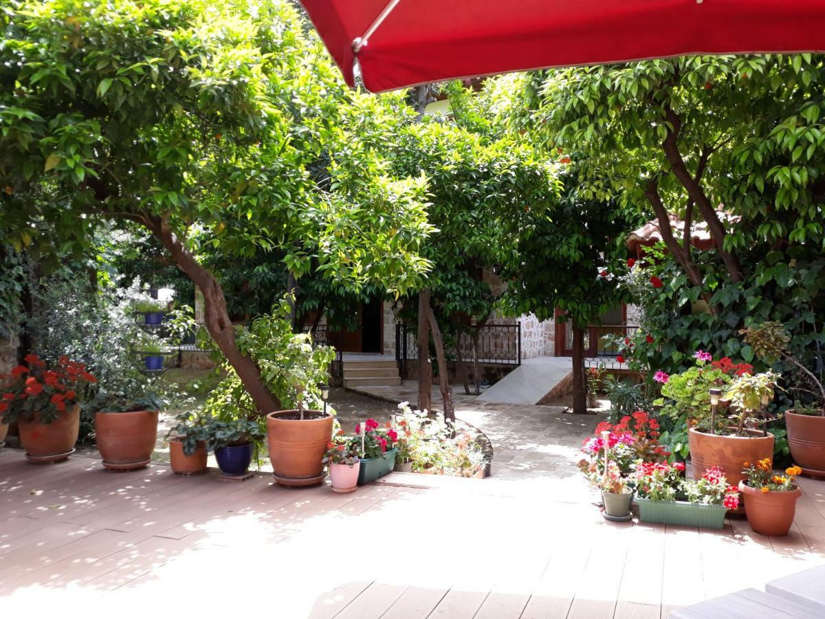 Citrus Garden Hotel อันตัลยา ภายนอก รูปภาพ